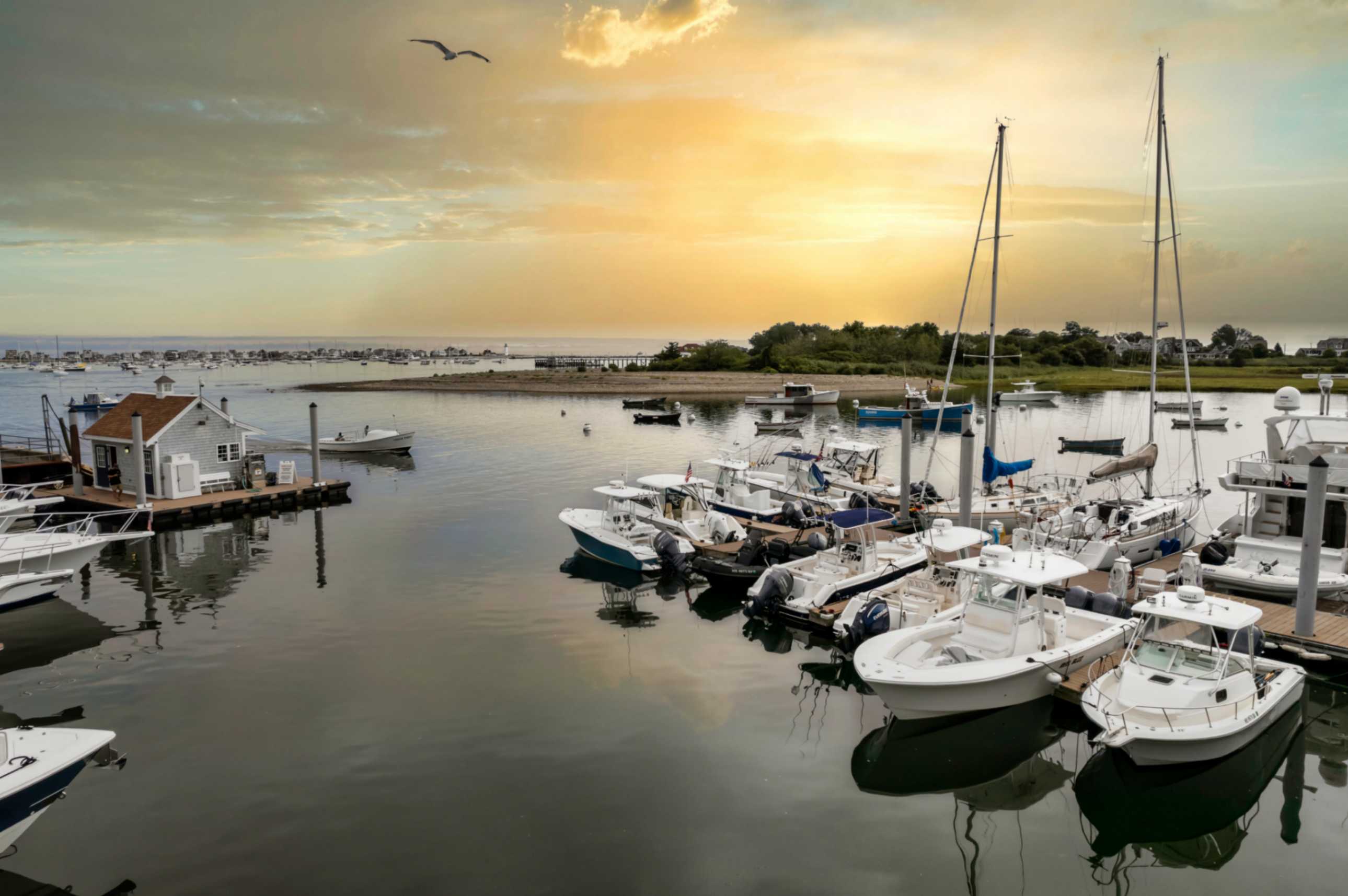 Mill Wharf Marina